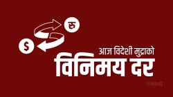 बढ्यो डलरको भाउ, आज कुन मुद्रा कतिमा हुँदैछ कारोबार?